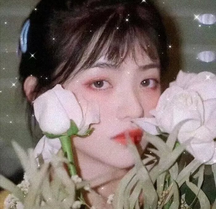 风流驸马爷